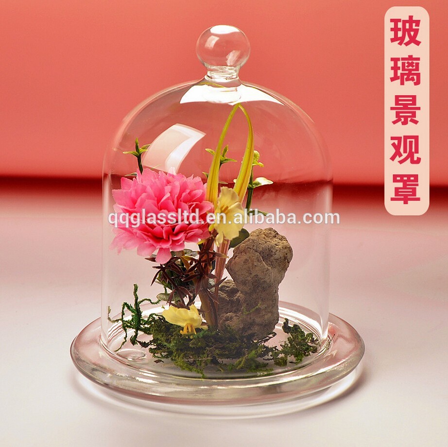 Factory Direct Sales Clear Glass Cloche With Base